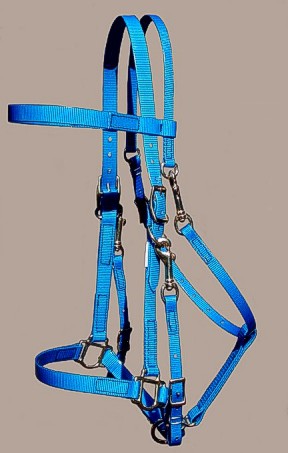 Blue Bridle