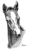http://www.hought.com/hp.horses.html